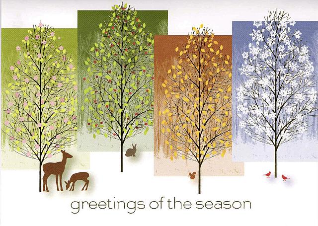 D 1900 Seasonal Display (30,31)