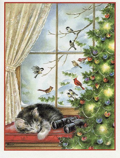 M 1994 Wildlife Habitat (17,17)