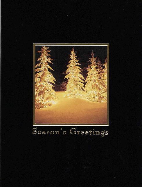 T 2002 Illuminated Trees (11,11)