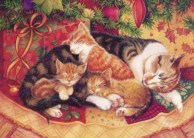 U Sleeping Cats (16,16)