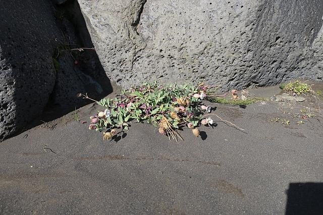 20180916072054-5e2aff90