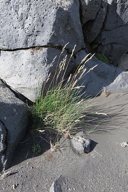 20180916072117-d7e9e7b2