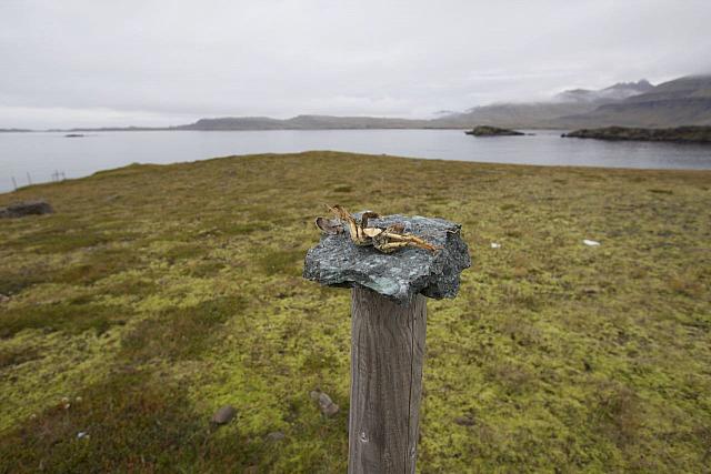 20180920210252-81af6a9d