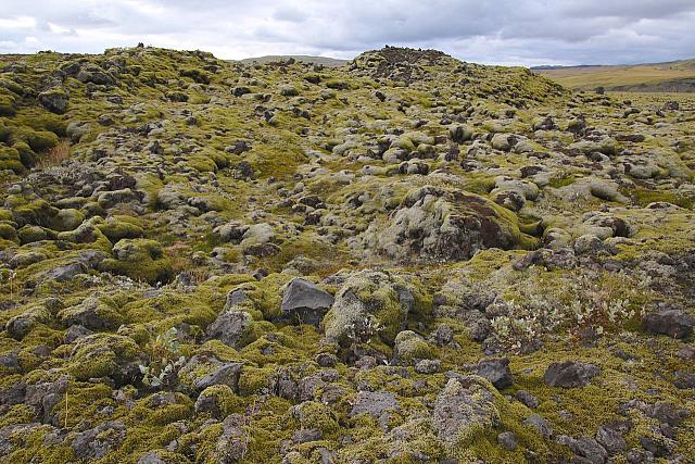 20180920210558-8a214541