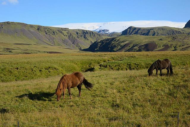 20180920210758-8a7e056a