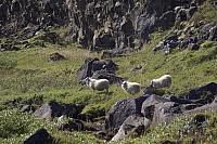 20180916072750-ae4aaef6