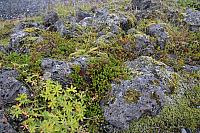 20180920210551-08f55215