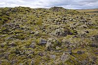 20180920210558-8a214541